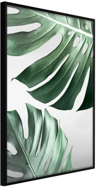 ARTGEIST Poster with Frame - Leaves Like Swiss Cheese Black 30x45